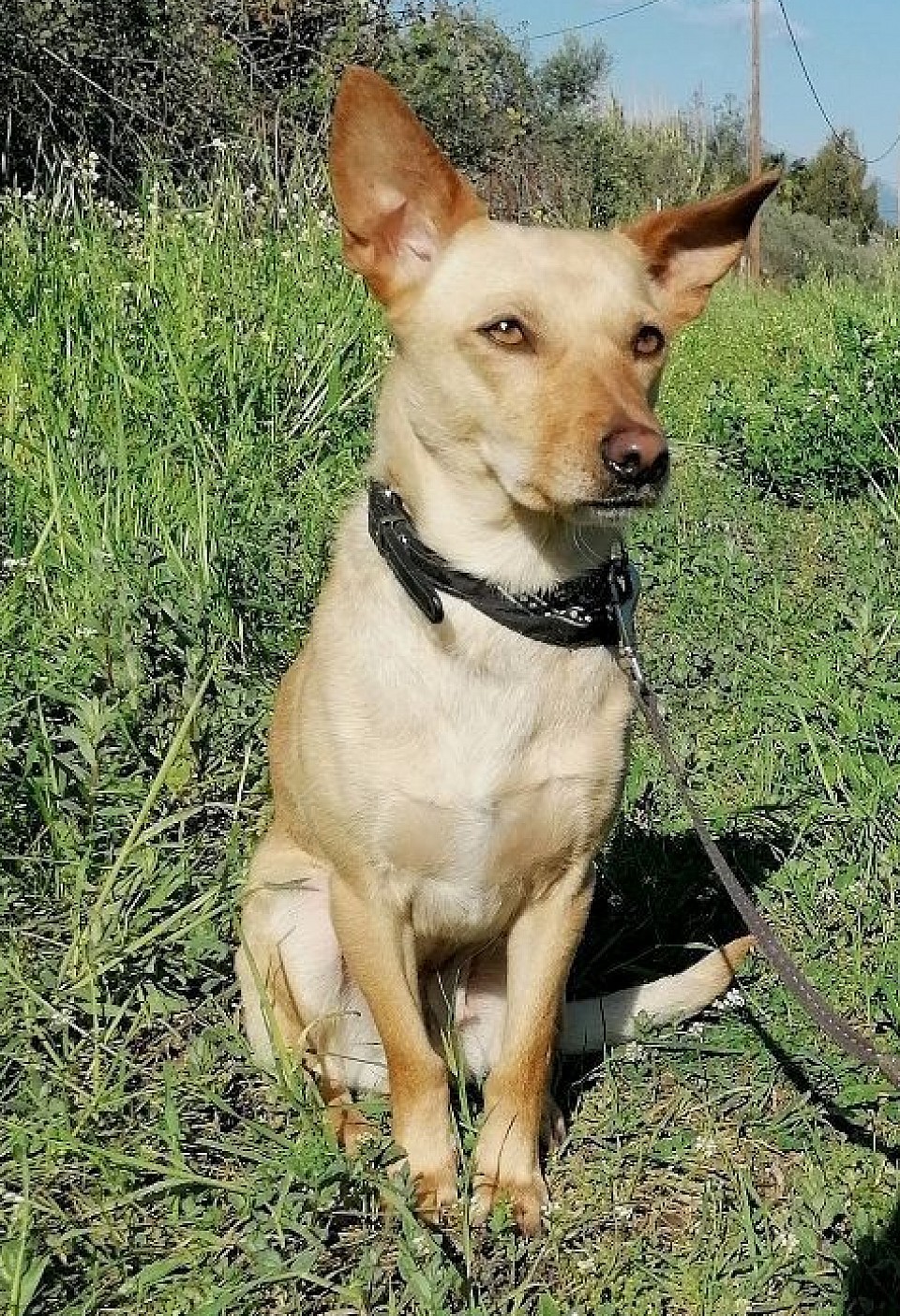 Xenia geb 9. Juni 2019