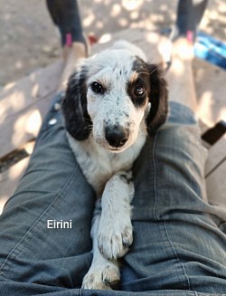 Eirini 30/9/24