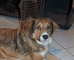 Monty