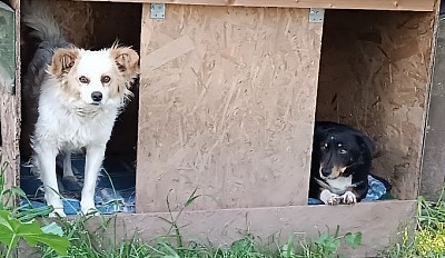 Stoupi & Timmy